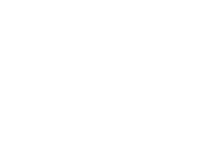 Logo Final gGmbH-weiß